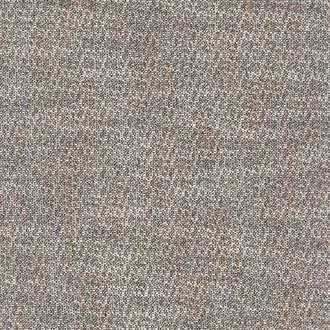 Tramea FR 48920744