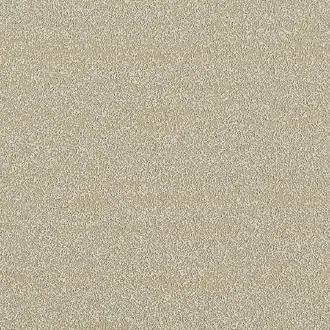 Elements 28204