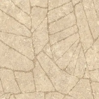 Fragment 30332