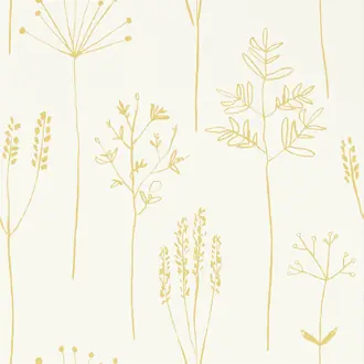 Stipa 112021