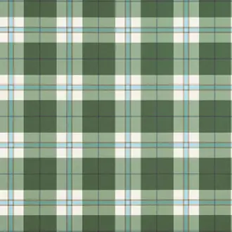 Douglas Plaid T44071