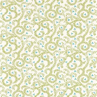 Buta W0233-01