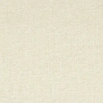 Tramea FR 48920190