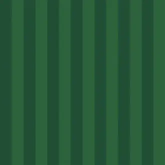 Courtside Stripe FRL5272-01