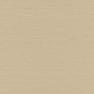 Loom Stories LS401