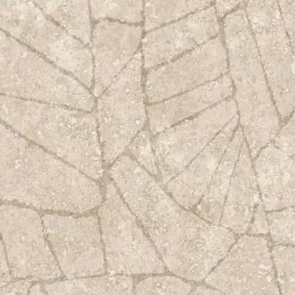 Fragment 30333