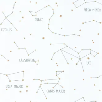 Constellations 101917125