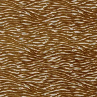 Wildstripe F1762-01