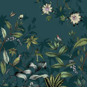 Passiflore 87086808