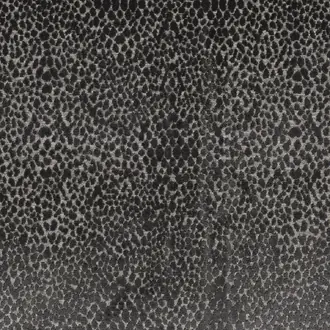 Okavango 4304 03 17