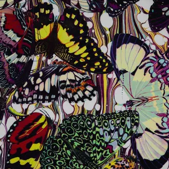 Papillons 3613-01