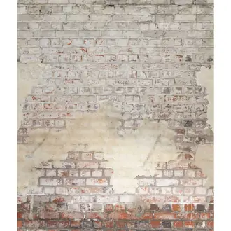 Brickwall 106251025