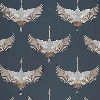 Demoiselle Midnight