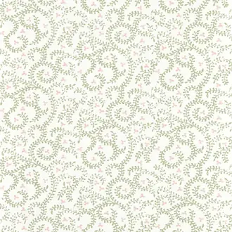 Buta W0233-04