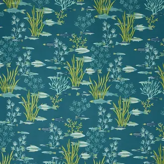 Shallows 5108-723
