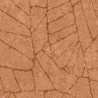 Fragment 30334