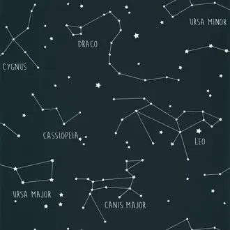 Constellations 101916918