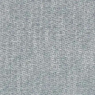 Tramea FR 48920698