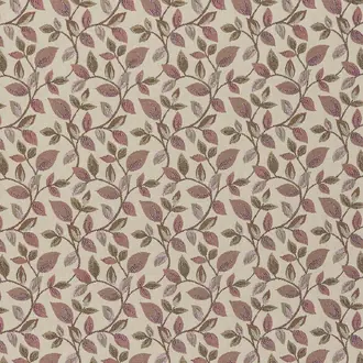 Vercelli Blush