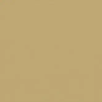 Quinto Gold V3291-51
