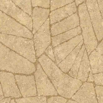 Fragment 30335
