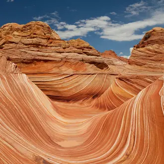 Arizona R11701