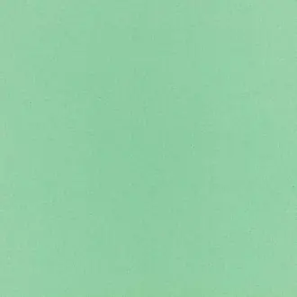 Sunny Spearmint