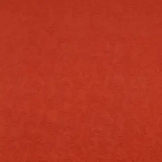 Bordeaux Plain Burnt Orange