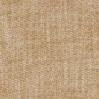 Tramea FR 48920475