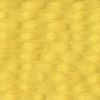 Undici Limone