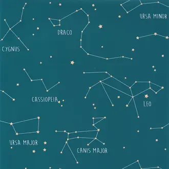 Constellations 101916003