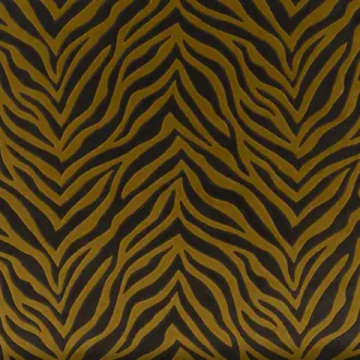 Wild Shape CH3260-040