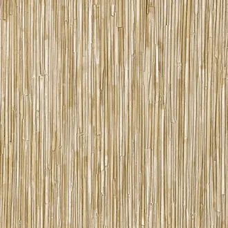 La casa de paja HPC CV-117-05