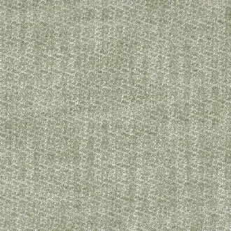 Tramea FR 48921033