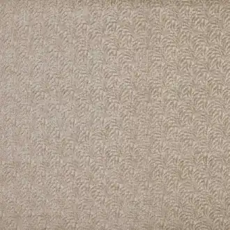 Casini 4308-077