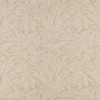 Cicely Chamois
