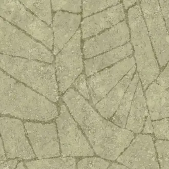 Fragment 30337