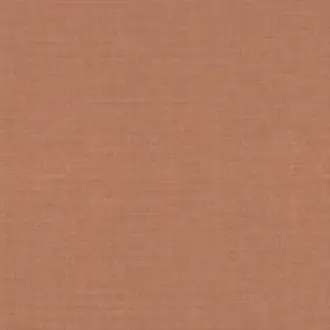 Arizona 252 08 79