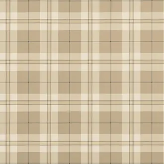 Douglas Plaid T44073