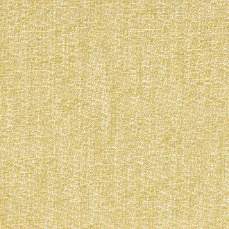 Tramea FR 48920924