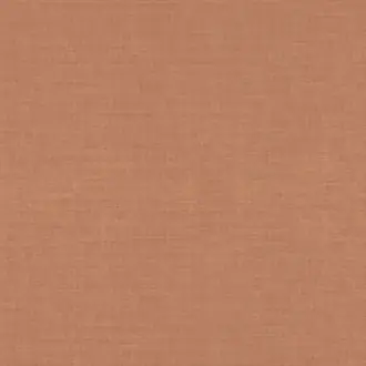Arizona 252 09 76