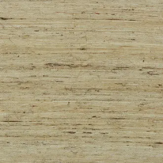 Extra Fine Arrowroot Spanish Moss 1743