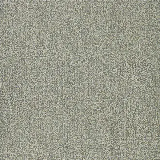 Kauri 312953