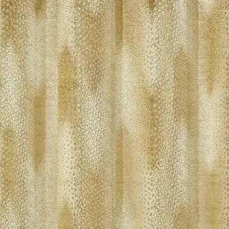 Nyala 333253
