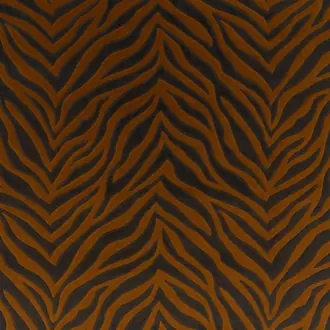 Wild Shape CH3260-060