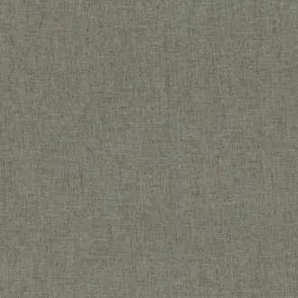 Carina Silt V3398-05