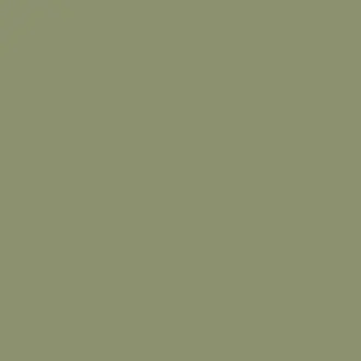 Canopy Green 63 Paint