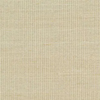 Brighton Weave 31703