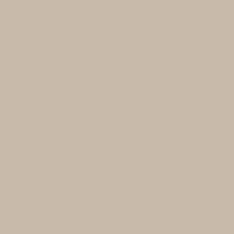 Pale Umber Paint