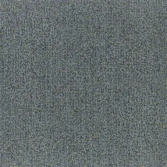 Kauri 312954